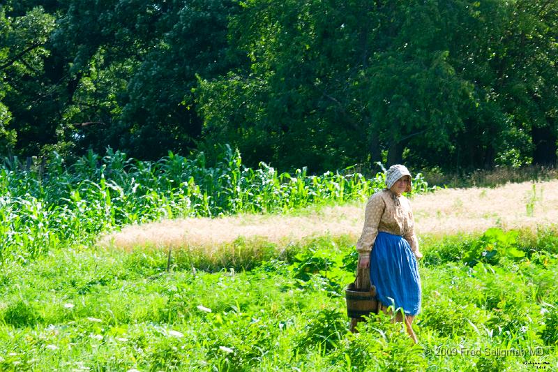 20080715_105410 D300 P 4200x2800.jpg - Living History Farm, Urbandale, Iowa.  The farm itself is a working farm